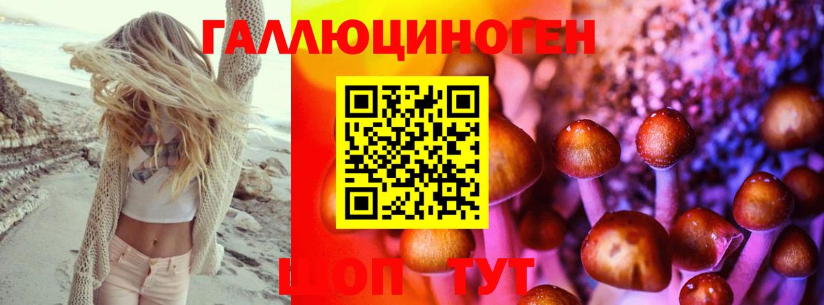 Псилоцибиновые грибы Psilocybe Еманжелинск