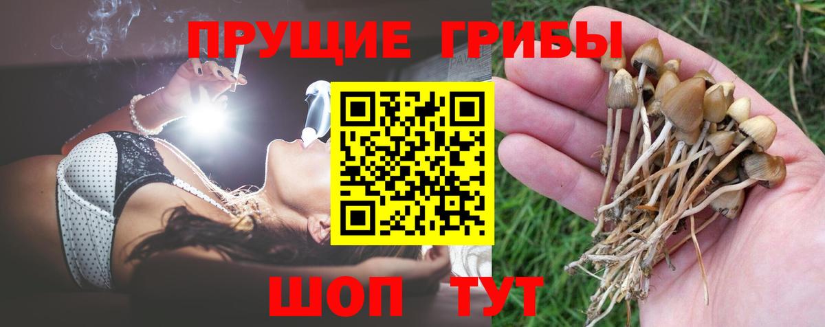 Еманжелинск  Псилоцибиновые грибы MAGIC MUSHROOMS  Вход с VPN 